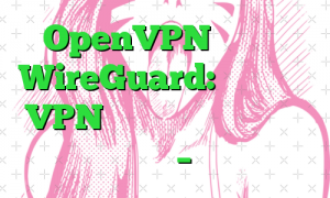 OpenVPN در مقابل WireGuard: کدام ابزار VPN منبع باز برای شرکت ها مناسب تر است؟ – جعبه ابزار