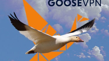  goose3.jpg 