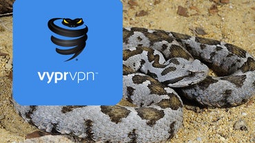  vypervpn.jpg 