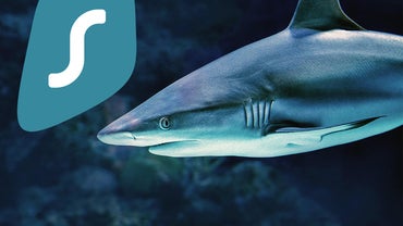  surfshark.jpg 