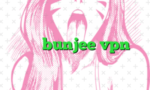 سایت bunjee vpn