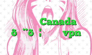 وی پی ان Canada 🇨🇦 کانادا vpn