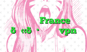 وی پی ان France 🇫🇷 فرانسه vpn