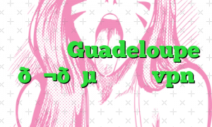 وی پی ان Guadeloupe 🇬🇵 گوادلوپ vpn