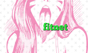 وی پی ان fitnet
