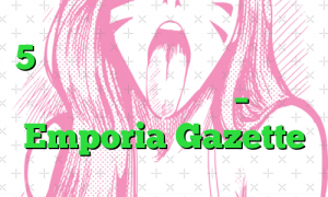 5 نکته برای خرید ایمن آنلاین در این فصل تعطیلات – Emporia Gazette