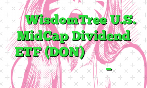 آیا WisdomTree U.S. MidCap Dividend ETF (DON) باید در رادار سرمایه گذاری شما باشد؟ – نزدک