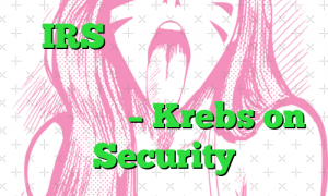 IRS به زودی برای دسترسی آنلاین به عکس های سلفی نیاز خواهد داشت – Krebs on Security