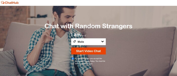 Omegle Alternatives Chathub