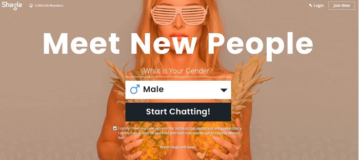 Omegle Alternatives Shagle