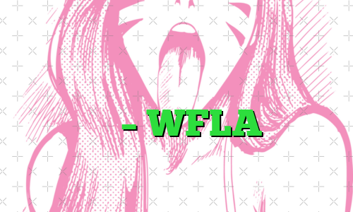 بهترین کتاب بیت کوین برای آدمک ها – WFLA